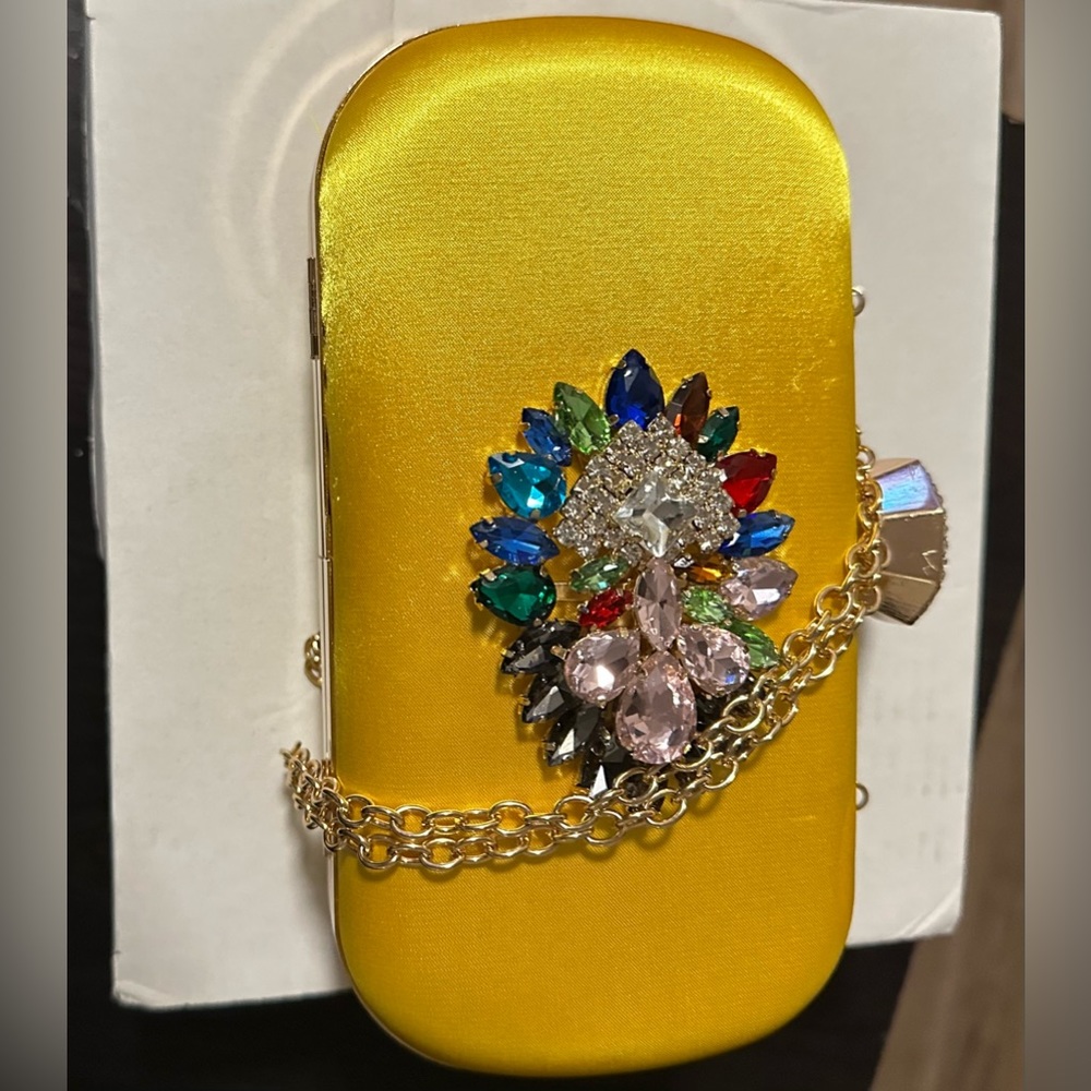 Fashion evening and bag for women with a chain